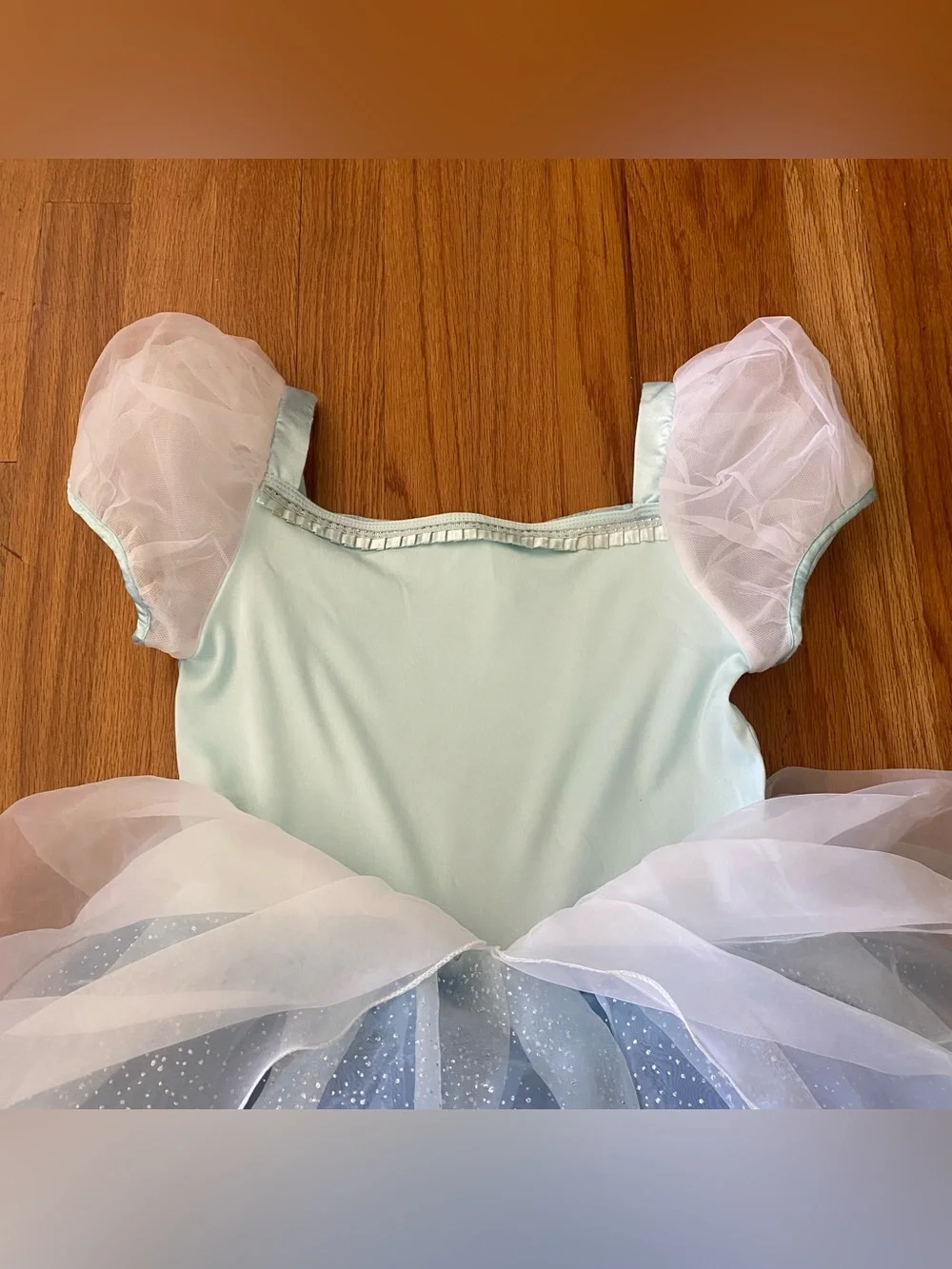 Disney Parks Castle Collection Princess Cinderella Costume